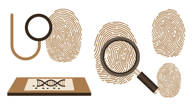 Forensic investigation elements with fingerprints and DNA slide