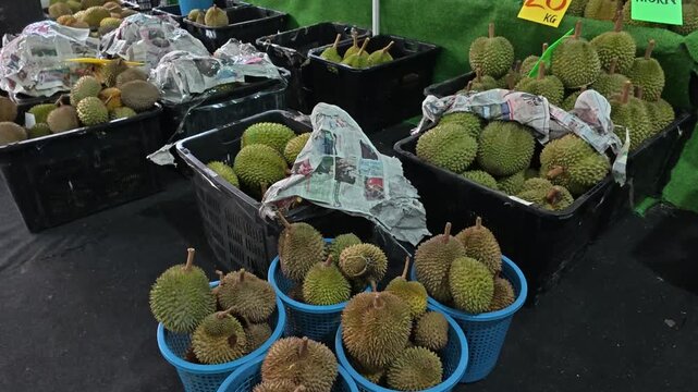 Fresh Malaysian durians are piled high in plastic baskets for sale. This popular, high-value local fruit is sold in bulk. Prices naturally fluctuate depending on current seasonal demand.
