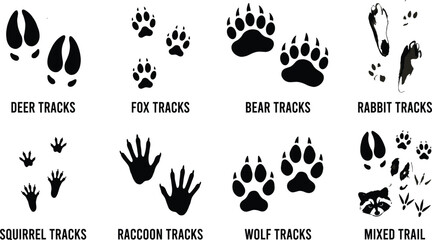 Animal tracks silhouette bundle featuring deer fox bear wolf rabbit squirrel and raccoon paw prints for woodland wildlife crafting © Designer Arif