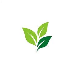 Fototapeta premium Green Leaf Logo Design Isolated on White Background, Eco Nature Icon Vector Illustration