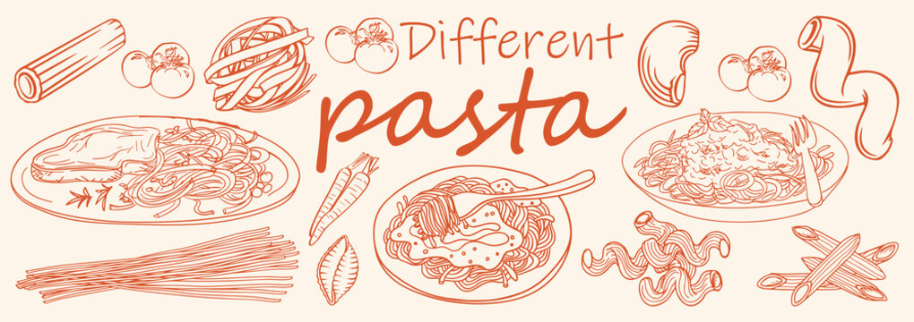 Hand drawn Different pasta Set . vector sketch pasta Set . vintage pasta art .pasta . vector illustration