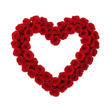 Vibrant red rose heart symbolizing love and passion
