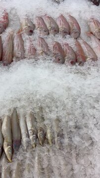 Various fresh saltwater fish including threadfin bream and whiting displayed on a bed of ice at a seafood market, highlighting freshness, quality, and commercial seafood retail.