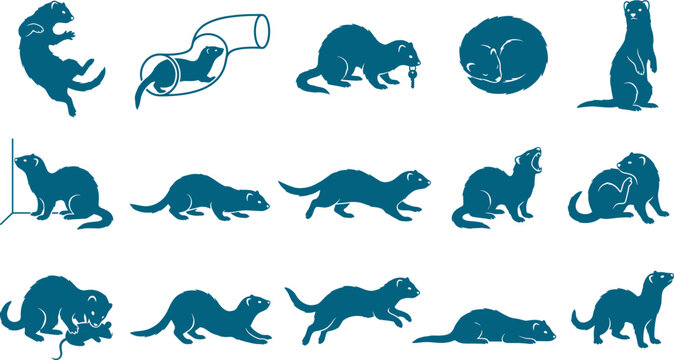 Playful bundle of ferret silhouettes showing small mustelids jumping sleeping and playing in tubes