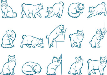 Obraz premium Bobtail cat breed variety pack featuring sketches of short-tailed felines in active poses