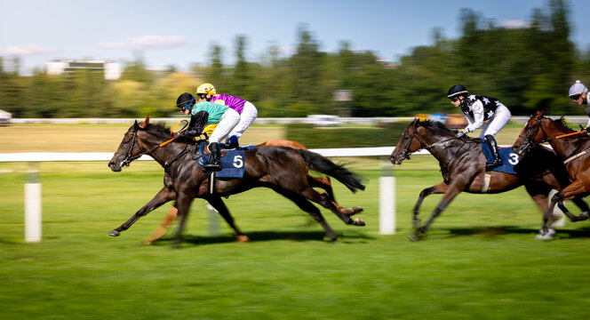 Exciting horse race with jockeys competing at full speed on a racetrack. Dynamic sports action captured with motion blur, showcasing strength, speed, competition and equestrian performance.