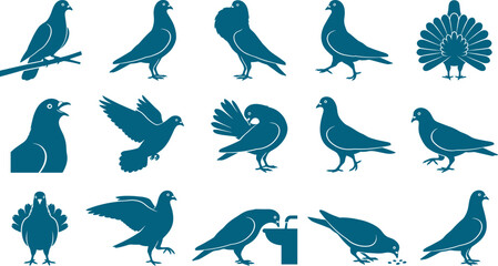 Obraz premium Urban pigeon bird silhouette collection featuring various avian poses for city-themed graphic design projects