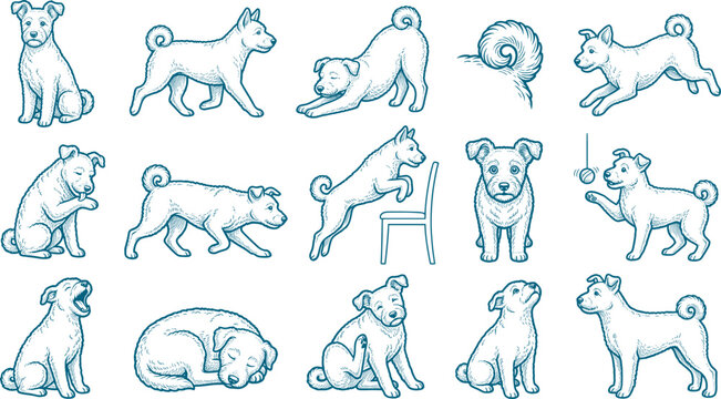 Small terrier dog engraving style silhouette bundle featuring various canine behaviors
