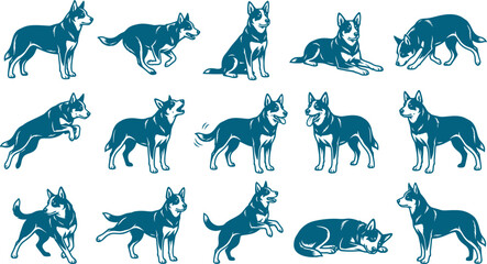 Obraz premium Australian cattle dog breed silhouette set showing various poses like running jumping and alert standing