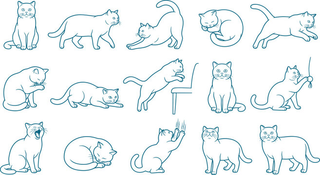 Minimalist cat line drawing set showing simple feline outlines in multiple natural poses