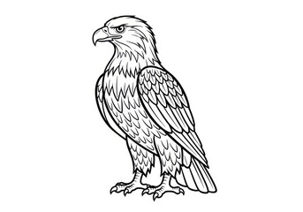 Fototapeta premium Illustration of a bald eagle standing isolated on white background