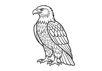 Obraz premium Illustration of a bald eagle standing with wings folded isolated on white background