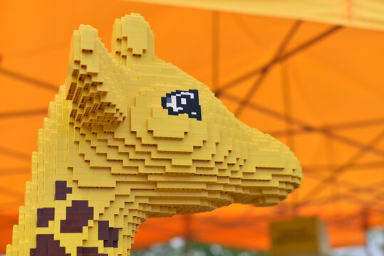 Lego giraffe head