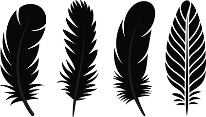 Set of four black feather silhouettes with diverse shapes and patterns, artistic bird plumage design for decoration © Hadiul