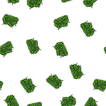 java moss vector seamless pattern java moss sign illustration