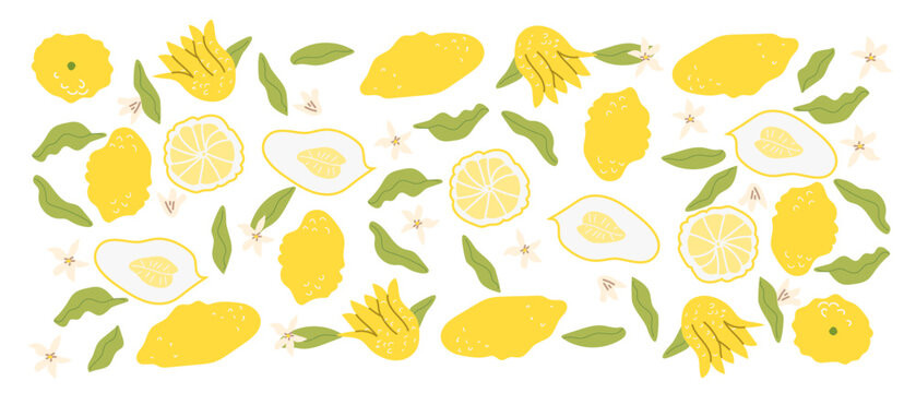 Abstract chinese citron set or pattern, contemporary art print. Modern background with hand drawn citron fruit. Trendy design for wrapping paper, packaging, wall decor.
