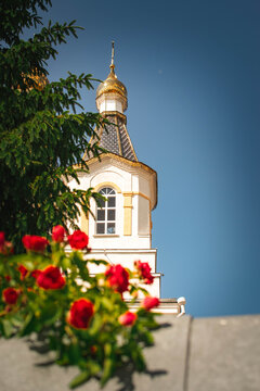orthodox church bell tower with red roses and spruce branches in foreground