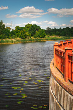 landscaped riverside with retaining wall and water lilies on sunny summer day