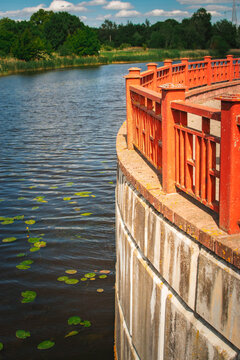 scenic riverside embankment with water lilies and forest on sunny summer day
