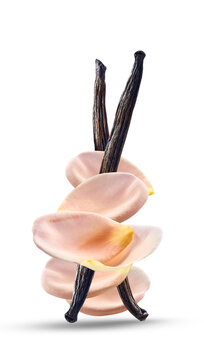 Rose petals with vanilla slick in closeup