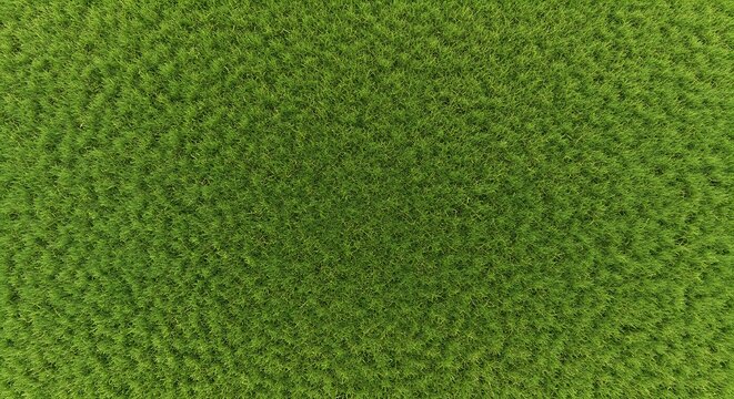 Lush green grass field aerial view natural textured background