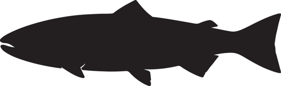 vector silhouette of a fish