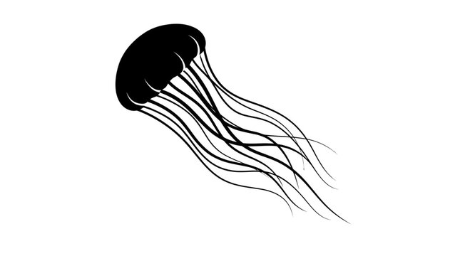 Detailed jellyfish silhouette with flowing tentacles on white.