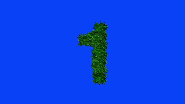 Number animation with grass texture on blue screen.