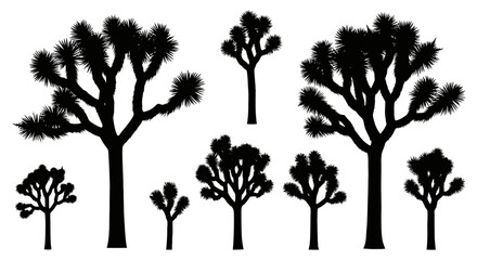 Obraz premium Joshua Tree Silhouettes On White Background Botanical Illustration Collection