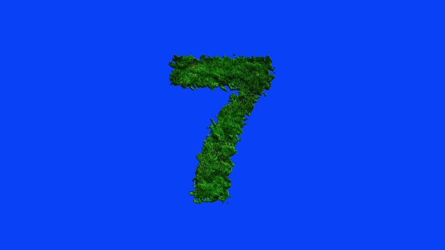 Number animation with grass texture on blue screen.