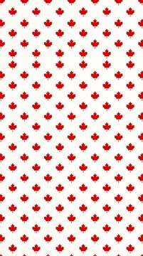 Seamless pattern of small red maple leaves on white background for canada