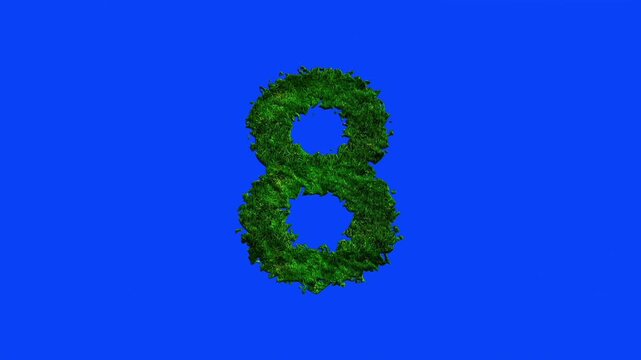 Number animation with grass texture on blue screen.