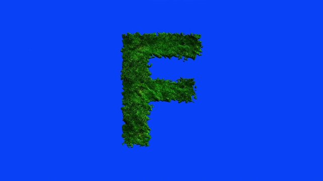 Animated alphabet letters with grass texture and blue screen.