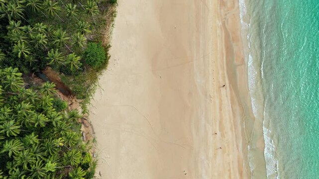 Aerial drone view of waves washing onto an empty stretch of white-sand beach bordered by dense coconut palms under an overcast sky, Nacpan Beach, El Nido, Palawan, Philippines.
