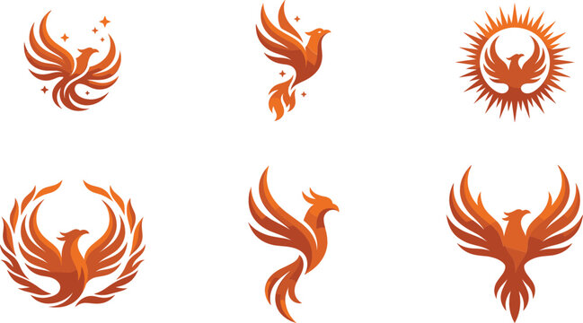  Collection of abstract orange eagle and falcon symbols perfect for corporate branding security heraldry power strength and creative business identity design