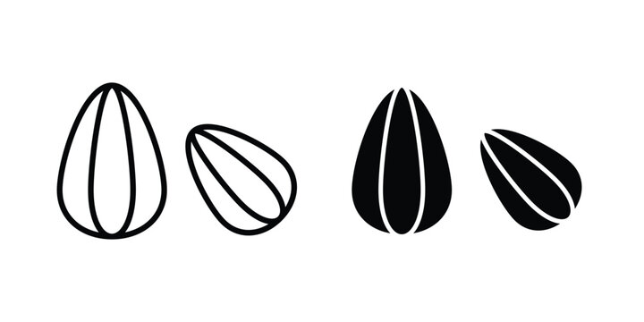 Almond icon