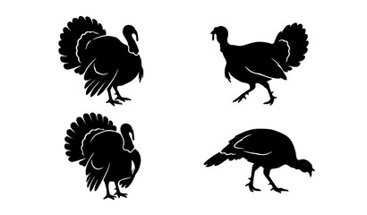 Turkey Bird Silhouette Collection in Different Standing and Walking Poses © MstNadiya