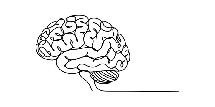 Human brain drawn with a single continuous black line representing mental health and creative thinking in a minimalist art style Vector, illustration