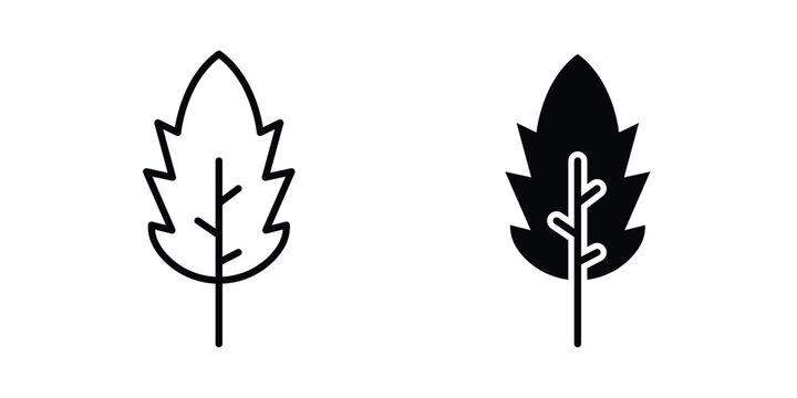 Mint icon