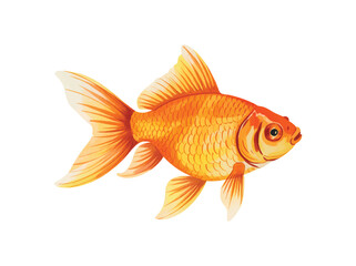 Hand-painted watercolor goldfish with flowing tail fins isolated on white background. © Songrami