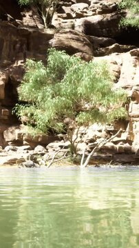 Lush greenery thrives next to tranquil water, reflecting the rocky cliff formations in the background. The setting is illuminated under clear blue skies, creating a peaceful atmosphere.