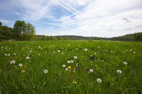 Landscape near Windelsbach in Middle Franconia, Germany.