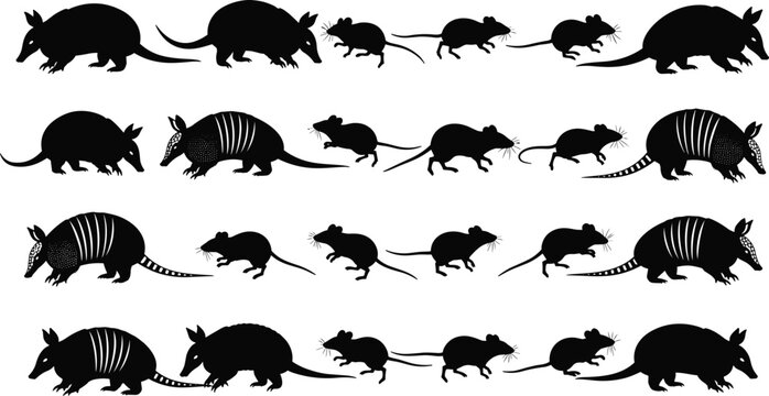 Armadillo and mouse black silhouettes set, wild animals in various poses, walking and running creatures, cad drawing flat vector illustration, isolated icons