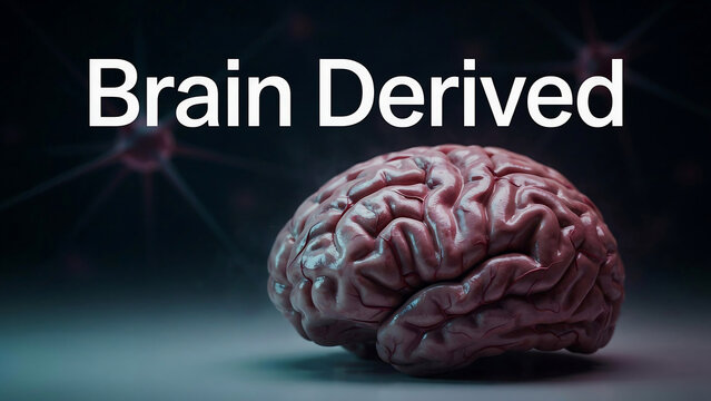 Human brain model on dark background with neuron cells  brain derived neurotrophic factor  neurological health concept