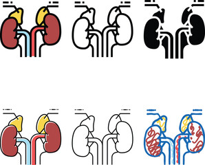 Obraz premium adrenals endocrinology color icon vector. adrenals endocrinology sign. isolated symbol edition