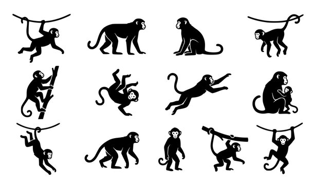Monkey Silhouette Vector Set with Various Monkey Poses and Primate Characters