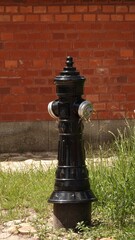 Zabytkowy, czarny hydrant nadziemny stoi na tle ściany z czerwonej cegły. Metalowa konstrukcja otoczona jest zieloną trawą, tworząc ciekawy element dawnej infrastruktury technicznej. © tomo81