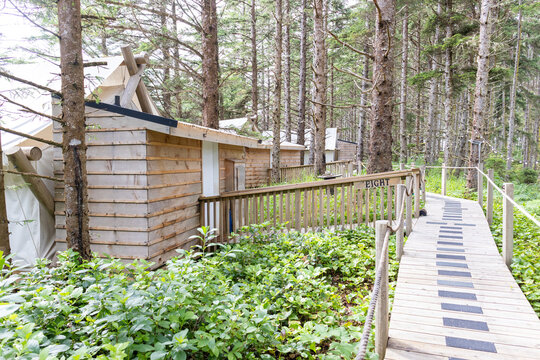 Glaming in the forest in Haida Gwaii