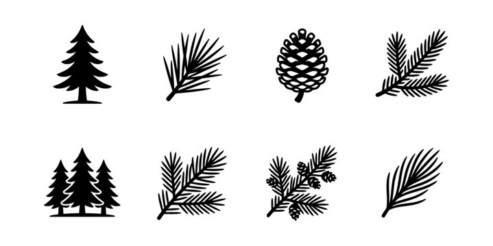 Forest evergreen tree and pine branch icons set