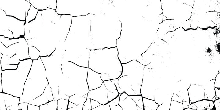 Cracked Texture: Cracked white wall texture. Surface cracks and fissures in ground. crack concrete white wall. Cracked soil texture transparent. Surface cracks and fissures in ground. Grange backgroun